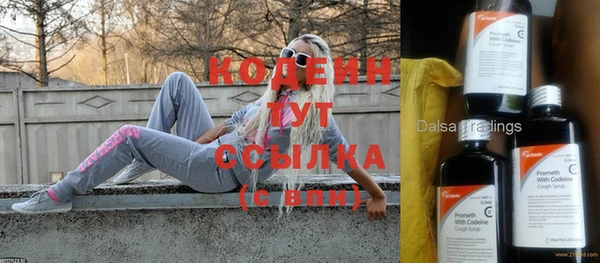не бодяженный Киренск