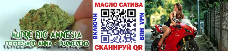 Купить закладки  Старый Крым  Дистиллят ТГК вейп с тгк 