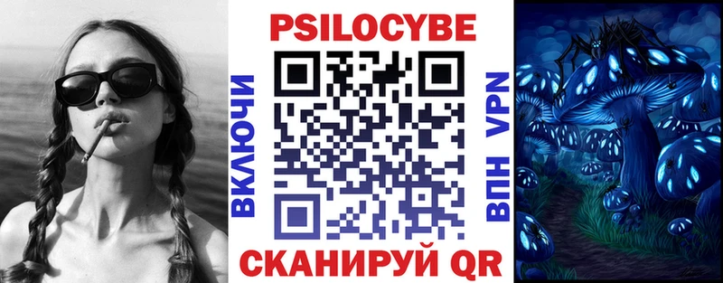 Купить  Старый Крым  Псилоцибиновые грибы Psilocybe 